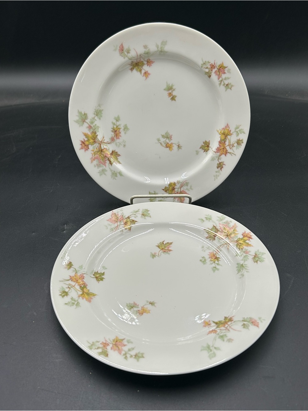 Haviland Limoges  Porcelain Dinner  Plates with Autumn Leaf Motif - Set of 2